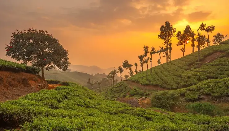 8 Most Beautiful Hill Stations To Explore in South India