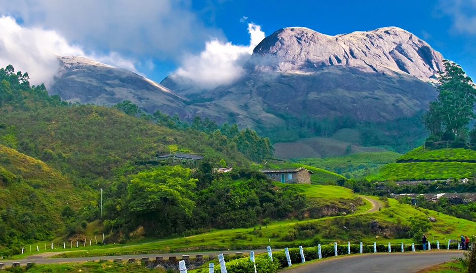10 Beautiful Places To Visit in Munnar