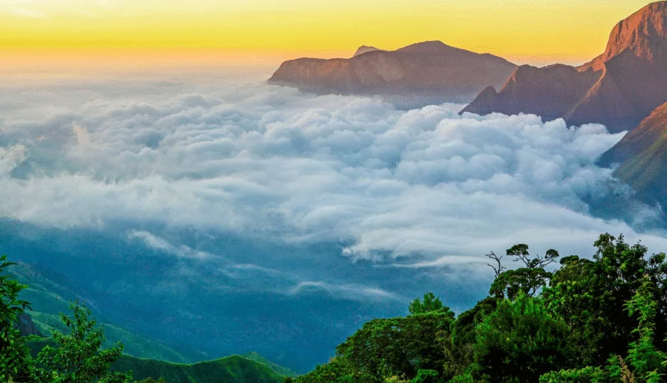 8 Must Visit Tourist Attractions in Munnar