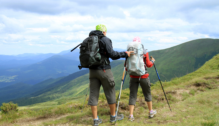 munnar,things to do in munnar,places in munnar