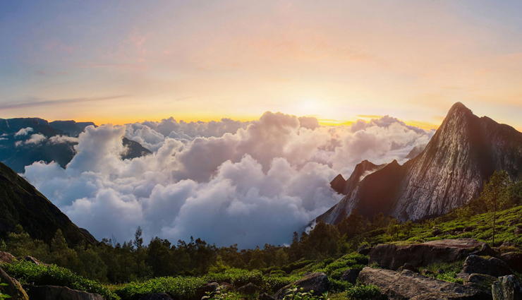 munnar,places to visit in munnar,attukal waterfalls,blossom park,top station,pothamedu view point,tata tea museum,kundala lake,mattupetty dam