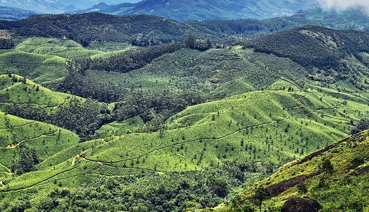 munnar,places to visit in munnar,attukal waterfalls,blossom park,top station,pothamedu view point,tata tea museum,kundala lake,mattupetty dam