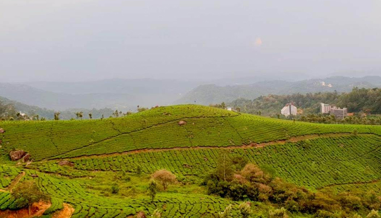 munnar,places to visit in munnar,mattupetty dam,echo point,top station,pothamedu viewpoint,trekking