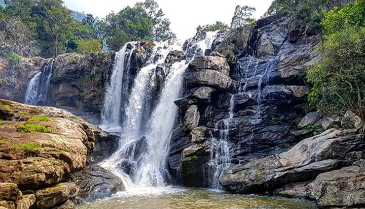 munnar,things to do in munnar,places to visit in munnar,kerala