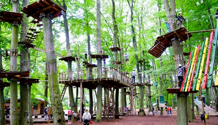 munnar,things to do in munnar,places to visit in munnar,kerala