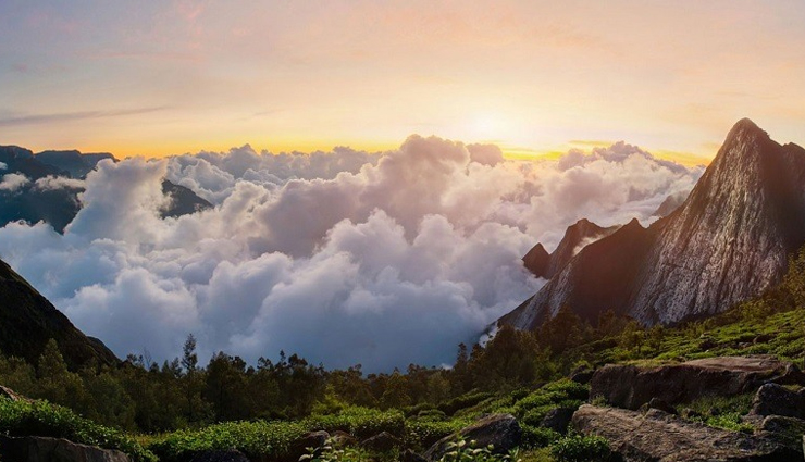 places to explore in munnar,munnar,mattupetty dam,echo point,atukkad waterfalls,top station,pothamedu viewpoint,trekking,meesapulimala,pallivasal tea garden,kuthumkal waterfalls,eravikulam national park