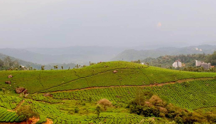beautiful places in munnar,best places to visit in munnar,munnar tourist attractions,must-visit places in munnar,scenic spots in munnar,munnar travel guide,top sightseeing in munnar,munnar nature spots,picturesque places in munnar,munnar hill station attractions