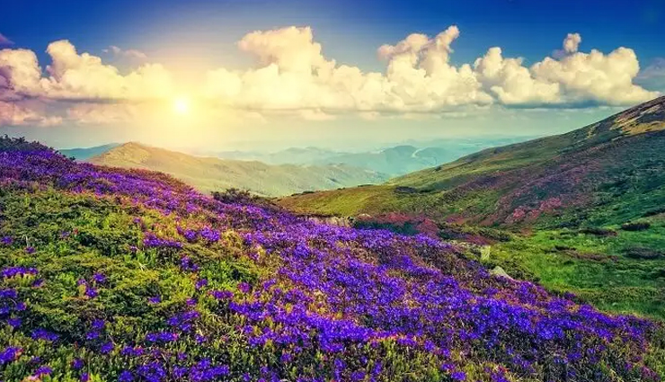 munnar,things to do in munnar,places to visit in munnar,kerala