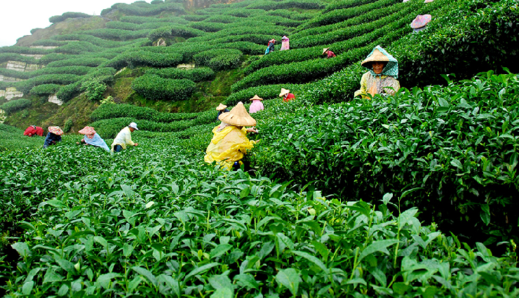 western ghats hill stations,breathtaking hill getaways,scenic beauty of western ghats,must-visit western ghats destinations,charming hill retreats in the ghats,western ghats travel experiences,picturesque mountain escapes,best views in western ghats,unexplored hill stations ghats,western ghats hillside beauty