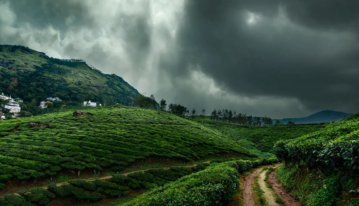 5 Beautiful Off Beat Tourist Places You Can Visit in Munnar