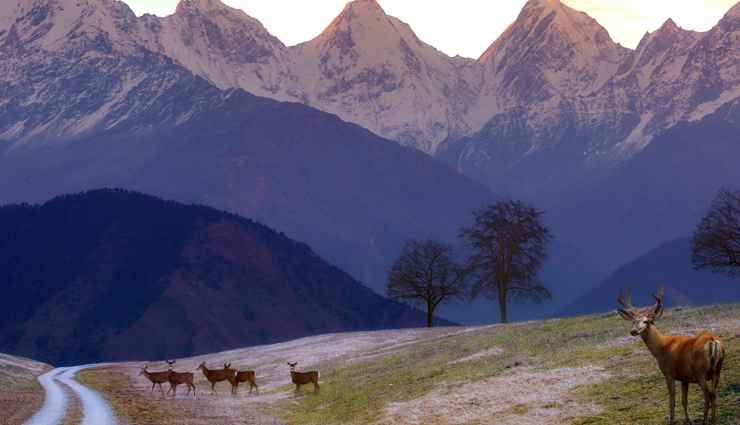 best hill stations in uttarakhand,scenic hill stations in uttarakhand,top hill stations to visit in uttarakhand,offbeat hill stations in uttarakhand,popular hill stations in uttarakhand,serene hill stations in uttarakhand,hill stations with stunning views in uttarakhand,hill stations for adventure in uttarakhand,romantic hill stations in uttarakhand,hill stations for nature lovers in uttarakhand,uttarakhand vacation,uttarakhand hill stations,himalayan peaks,scenic landscapes,natural beauty,rivers,deodar forests,mystic valleys,green pastures,nomadic villages,ancient temples,colonial architecture,mussoorie,lal tibba,gun hill point,kempty falls,jharipani falls,mussoorie lake,tibetan market,mall road,company garden,lake mist,camel’s back road,benog wildlife sanctuary,nainital,sattal,bhimtal,khurpa tal,naini lake,raj bhawan,gurney house,tiffin top,snow view point,naina devi temple,hanuman garhi,auli,auli ropeway,chattrakund,kwani bugyal,gurso bugyal,joshimath,vishnuprayag,rudraprayag,valley of flowers,hemkund sahib gurudwara,nanda devi national park,harsil,gangotri,wilson cottage,sattal,bhagirathi river,dharali,gangnani,mukhwas village,dayara bugyal,gangotri glacier,kedar tal,dhanaulti,deogarh fort,eco park,ziplining,rock climbing,potato farms,apple orchards,dashavatar temple,surkanda devi temple,chopta,chandrashila,tungnath,ukhimath,madhyamaheshwar mandir,rohini bugyal,deoria tal,munsiyari,birthi falls,khaliya top,kalamuni top,barkot,madkot,garhwali souvenirs,maheshwari kund,thamri kund,new tehri,tehri dam,bhagirathi river,sem mukhem temple,chandrabadni temple,budha kedar,nag tibba,gautam rishi ashram,lansdowne