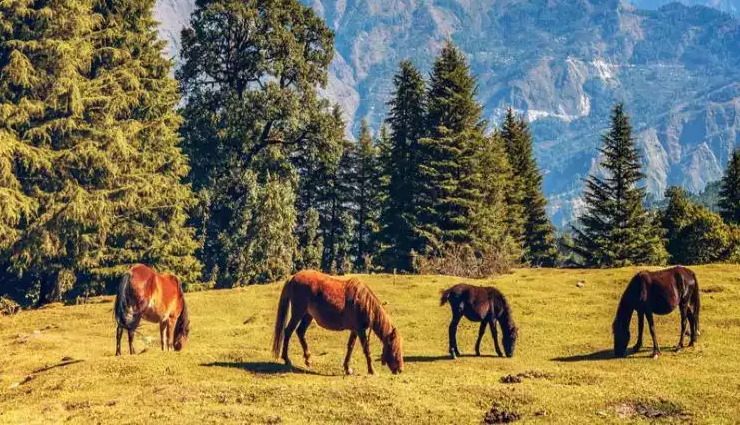 unique uttarakhand destinations,hidden gems in uttarakhand,offbeat travel spots uttarakhand,lesser-known places in uttarakhand,unexplored uttarakhand attractions,non-touristy places uttarakhand,quirky uttarakhand getaways,secret spots in uttarakhand,undiscovered places in uttarakhand,uttarakhand off-the-beaten-path places