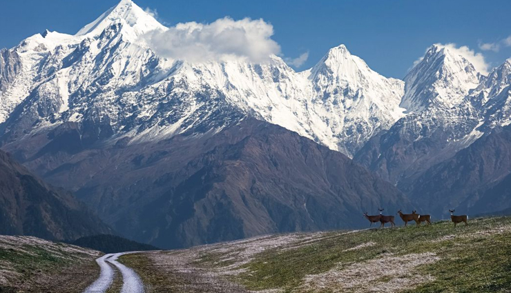 tourist places in munsiyari,best places to visit in munsiyari,munsiyari travel guide,top attractions in munsiyari,things to do in munsiyari,munsiyari sightseeing,offbeat destinations in uttarakhand,kumaon region tourism,must-visit places in munsiyari,adventure tourism in munsiyari