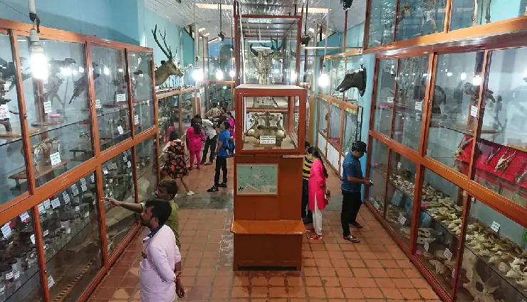 kodaikanal travel guide,places to visit in kodaikanal,kodaikanal sightseeing,hill stations in tamil nadu,kodaikanal tourist attractions,palani hills tourism,kodaikanal waterfalls,things to do in kodaikanal,nature trips in kodaikanal,kodaikanal for adventure lovers