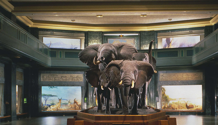 history and art museums,history and art museums in america,america,places to visit in america,the metropolitan museum of art,the art institute of chicago,smithsonian institution offices,the museum of modern art,american museum of natural history