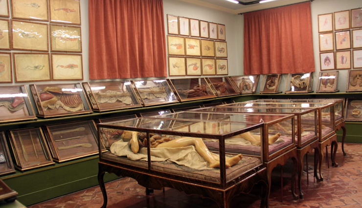 classic museums in florence,must-visit museums in florence italy,explore the amazing museums of florence,famous classic museums in florence,discovering the art museums of florence,florence iconic museum attractions,unforgettable museum experiences in florence,immersing in the culture of florence classic museums,florence historical museum treasures,captivating classic art in florence museums