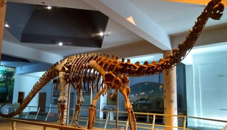 salar jung museum,city museum,telangana state museum,surendrapuri,birla science museum,famous museums in hyderabad,hyderabad