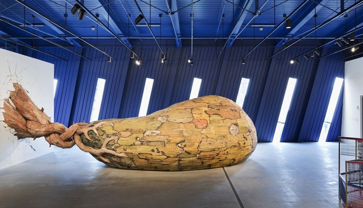 australia,art galleries to explore in australia,art galleries in australia,australia