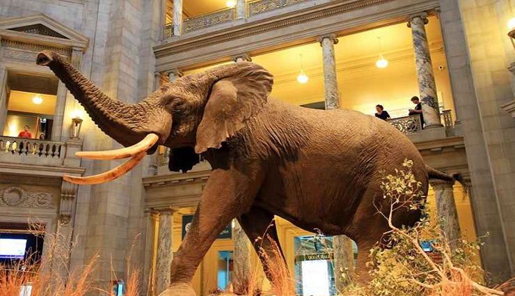 बच्चों को घुमाने लेकर जाना चाहते हैं, करें दिल्ली के इन 10 बेहतरीन म्यूजियम का चुनाव 