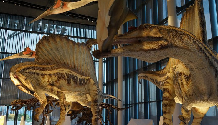 5 Amazing Museums To Visit in Kuwait