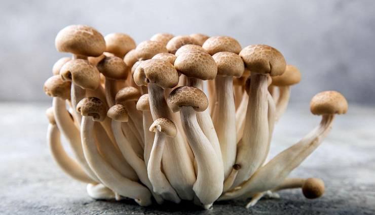 beech mushroom,benefits of beech mushroom,mushroom,mushroom benefits,healthy food,Health,Health tips