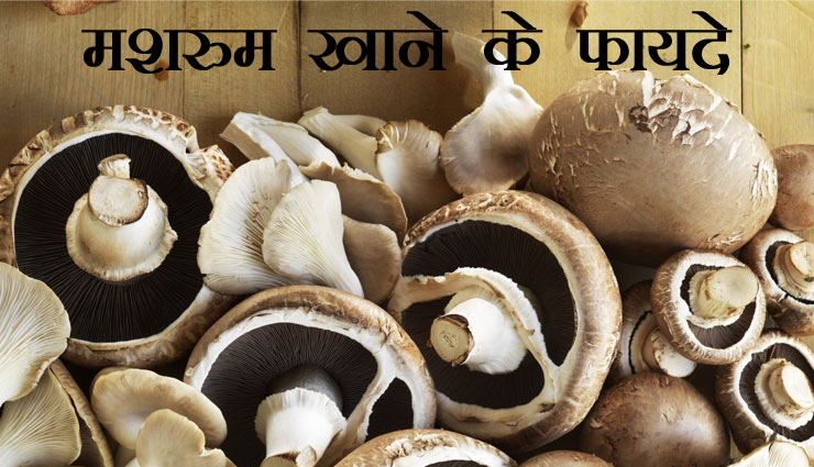 mushroom,health benefits in hindi,mushroom benefits