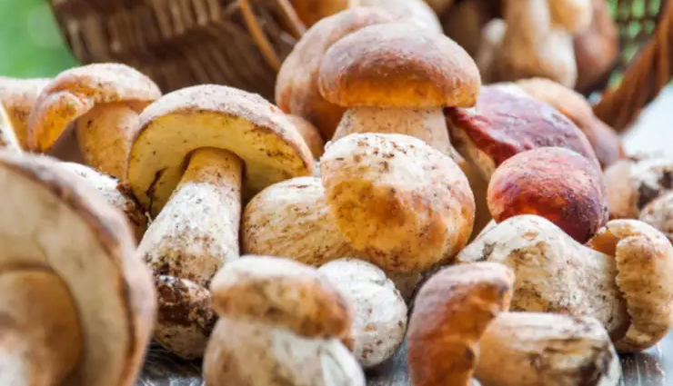 vitamin d sources,vitamin d-rich foods,foods high in vitamin d,sunlight alternatives for vitamin d,natural vitamin d sources,benefits of vitamin d-rich foods,vitamin d deficiency,healthy diet for vitamin d intake,bone health and vitamin d,best vitamin d supplements,vitamin d foods,sources of vitamin d,vitamin d in diet,vitamin d from food,foods rich in vitamin d,vitamin d and bone health,vitamin d for bones,natural ways to get vitamin d,vitamin d and immune system,top vitamin d foods,vitamin d for bone strength,vitamin d for health,best dietary sources of vitamin d,how to get vitamin d without sun,vitamin d food list,increasing vitamin d intake,vitamin d and calcium absorption,vitamin d and osteoporosis,vitamin d for bone density,vitamin d supplementation,sources of vitamin d for vegans,vitamin d and joint health,vitamin d for immune support,foods fortified with vitamin d,vitamin d for overall health,vitamin d in natural diet,vitamin d for strong bones,vitamin d and skin exposure,plant-based vitamin d sources,how to boost vitamin d naturally,natural sunlight vitamin d alternatives,dietary vitamin d for bone health,vitamin d in everyday foods,vitamin d for bone maintenance,foods that provide vitamin d,vitamin d for bone and immune health,vitamin d for better bone health,vitamin d absorption and diet,nutritional vitamin d sources,vitamin d for bone strength and density