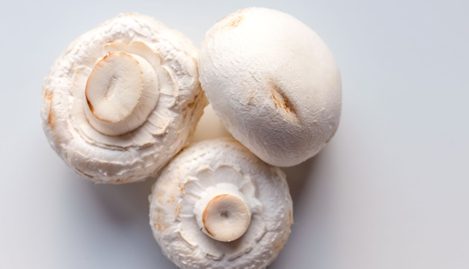 मशरूम सैंडविच : स्वाद के साथ सेहत की भी नहीं करनी चाहिए अनदेखी, इस डिश पर जताएं भरोसा #Recipe mushroom sandwich,mushroom sandwich healthy,mushroom sandwich tasty,mushroom sandwich ingredients,mushroom sandwich recipe,mushroom sandwich morning,mushroom sandwich breakfast