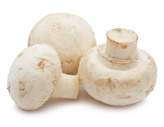 मशरूम खाने के 6 गुणकारी फायदे 