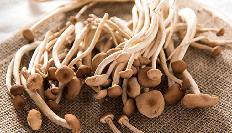 Health tips,healthy living,5 health benefits of eating mushroom,benefits of mushroom,why mushroom is goof for health