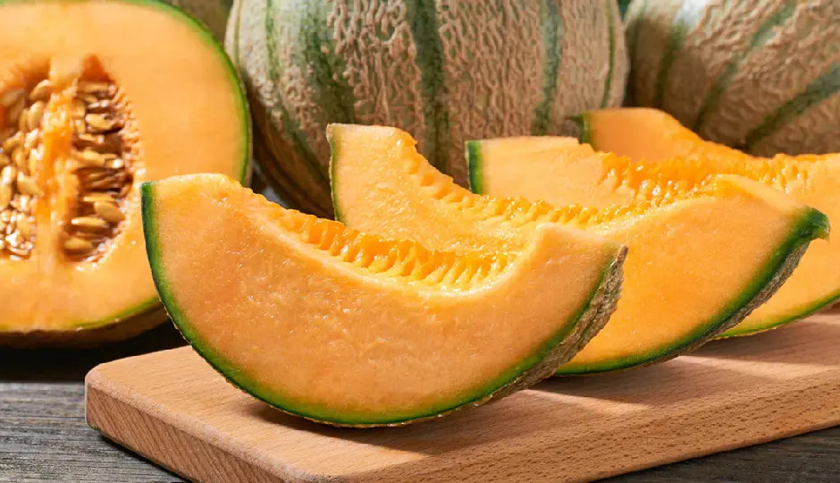 गर्मियों में रोज खाएं रसदार खरबूजा, पाचन से लेकर दिल तक सेहत को मिलेंगे जबरदस्त फायदे
