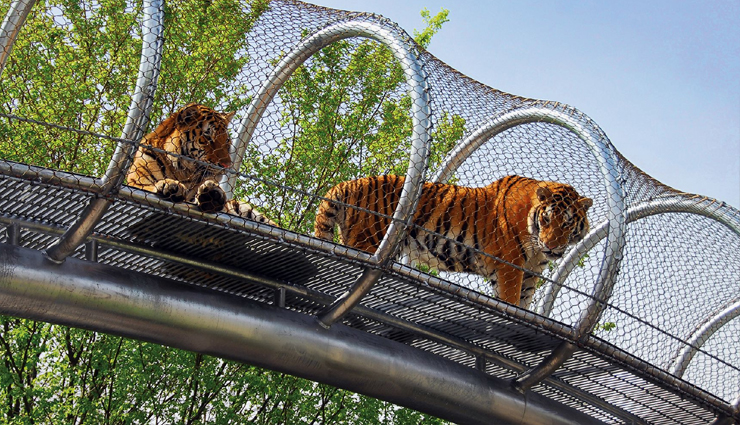 6 Must Visit Zoo in The World