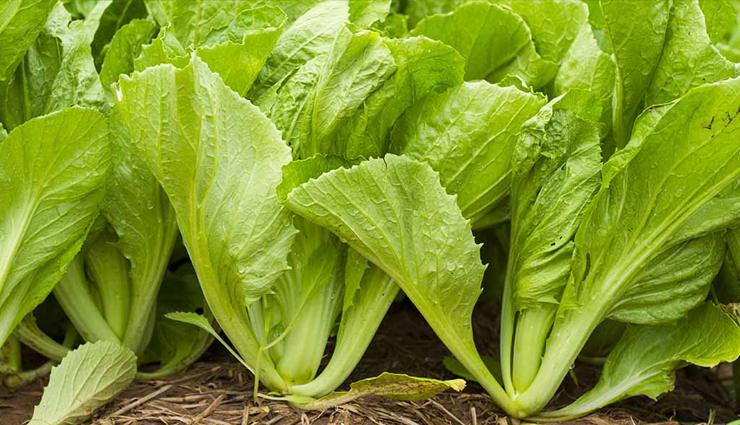 vitamin c foods,foods rich in vitamin c,vitamin c sources,top vitamin c-rich foods,high vitamin c fruits,best vegetables for vitamin c,citrus fruits with vitamin c,vitamin c-rich diet,immune-boosting foods,antioxidant-rich foods,skin health foods,collagen-boosting diet,natural vitamin c sources,healthy fruits for vitamin c,vitamin c benefits,vitamin c in food,foods to boost immunity,vitamin c content in foods,vitamin c-rich recipes,creative ways to use vitamin c foods,nutrient-packed fruits and vegetables,eat for better health,fresh produce with vitamin c,vitamin c and wellness,dietary sources of vitamin c,best vitamin c-rich snacks,nutritional benefits of vitamin c,immunity-boosting diet plan,healthy eating for radiant skin,foods for strong bones,blood vessel health foods,delicious vitamin c-rich meals,balanced nutrition for vitality,tasty vitamin c-rich options,supercharge your health with vitamin c,vitamin c-packed food guide,incorporating vitamin c into your diet,nutrient-dense foods for wellness,nourishing your body with vitamin c