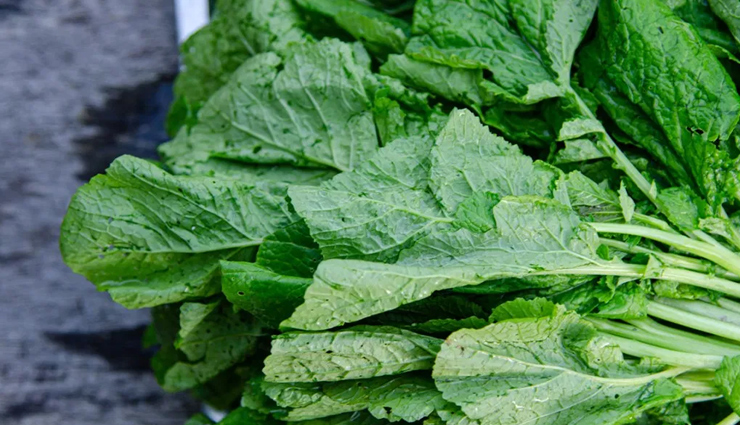 seasonal vegetable,seasonal vegetable for good health,Health,healthy vegetable,Health tips,healthy living