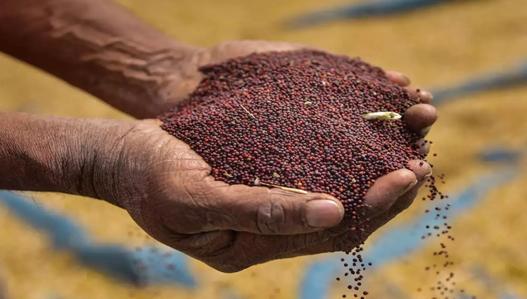 mustard seeds for skin,mustard seeds for hair,mustard seeds beauty benefits,mustard for acne,mustard seeds for hair growth,mustard oil for skin,mustard oil for hair,natural skincare with mustard,mustard seeds for dandruff,mustard seeds anti-aging,mustard seeds for glowing skin,mustard seeds hair mask,mustard seeds benefits for skin and hair