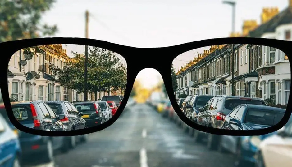 5 Ayurvedic Herbs That Help To Cure Myopia