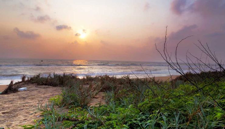 must-visit beaches in south india,top south indian beaches to explore,best coastal destinations in south india,south india must-see beach spots,beach travel in south india,unmissable beaches of south india,exploring the finest beaches in south india,coastal gems to visit in south india,south india beach tourism,popular beaches to see in south india,scenic beach getaways in south india,south india beach travel highlights,beach vacation spots in south india,south india picturesque beach destinations,coastal wonders you must visit in south india,discovering south india stunning beaches,south india top beach experiences,planning your beach trips in south india,ultimate beach destinations in south india