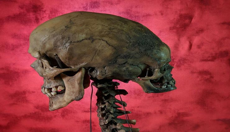 mysterious person,weird person,edward mordake,person with extra face,england