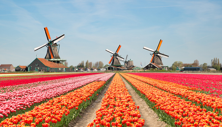 mysterious places,beautiful places on earth,mysterious places on earth,tulip fields,netherlands,tunnel of love,ukraine,salar de uyuni,bolivia,hitachi seaside park,japan,slope point,new zealand,tianzi mountains,china,emerald ice,russia,giants causeway,northern ireland,glowing beach,maldives