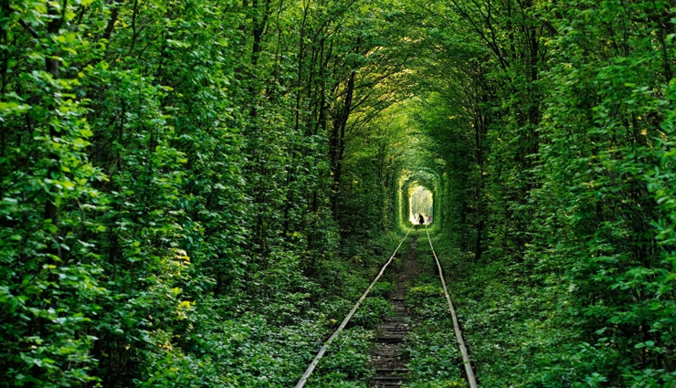 mysterious places,beautiful places on earth,mysterious places on earth,tulip fields,netherlands,tunnel of love,ukraine,salar de uyuni,bolivia,hitachi seaside park,japan,slope point,new zealand,tianzi mountains,china,emerald ice,russia,giants causeway,northern ireland,glowing beach,maldives