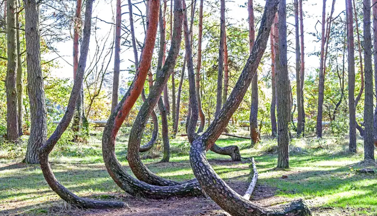 area 51 nevada,us,blood falls,antarctica,crooked forest,poland,easter island,chile,stonehenge,uk,rakotzbrucke devils bridge,germany,mysterious places in the world