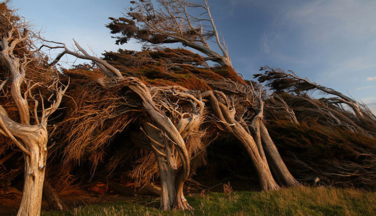 mysterious places,beautiful places on earth,mysterious places on earth,tulip fields,netherlands,tunnel of love,ukraine,salar de uyuni,bolivia,hitachi seaside park,japan,slope point,new zealand,tianzi mountains,china,emerald ice,russia,giants causeway,northern ireland,glowing beach,maldives