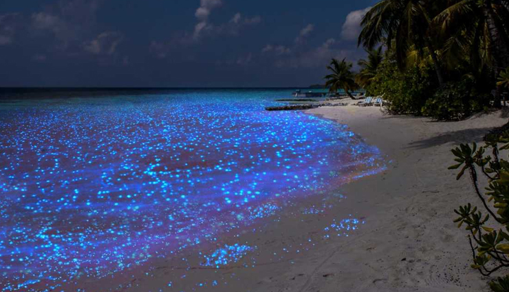 mysterious places,beautiful places on earth,mysterious places on earth,tulip fields,netherlands,tunnel of love,ukraine,salar de uyuni,bolivia,hitachi seaside park,japan,slope point,new zealand,tianzi mountains,china,emerald ice,russia,giants causeway,northern ireland,glowing beach,maldives