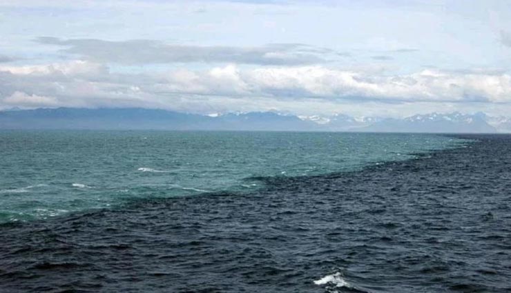 आखिर क्यों कभी भी नहीं हो पाता इन दो महासागर का संगम, रहस्य हैरान करने वाला weird news,weird incident,ocean water mystery,indian ocean,pacific ocean