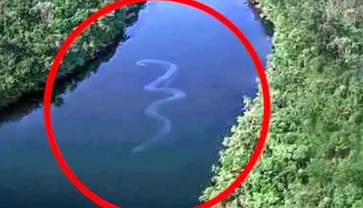 3 Mysterious Creatures That Exists in The World