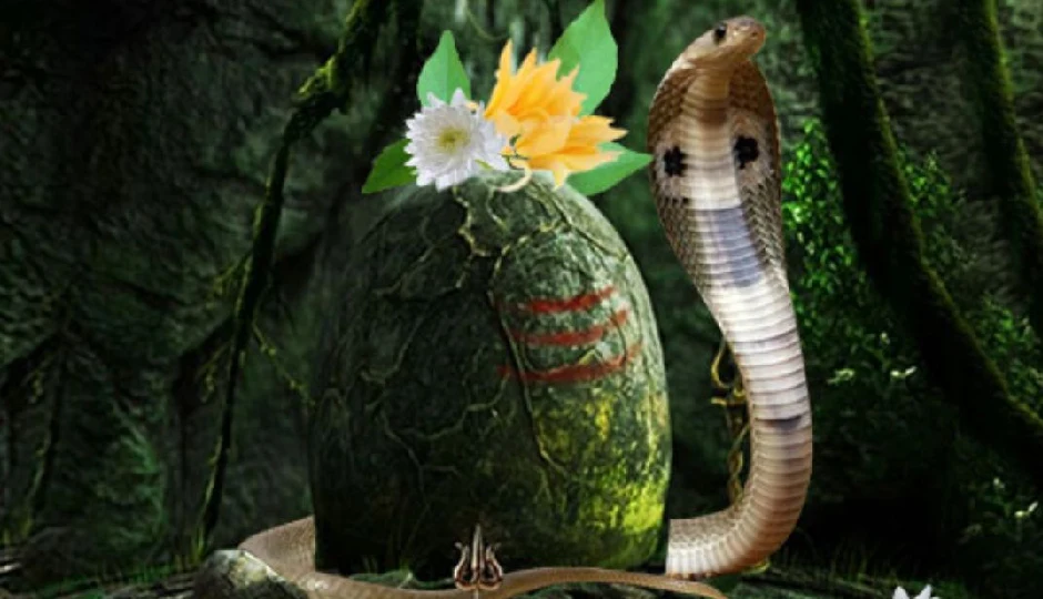 करीब 44 साल बाद नाग पंचमी पर बन रहा है दुर्लभ संयोग, जानें पूजन का शुभ और श्रेष्ठ मुहूर्त