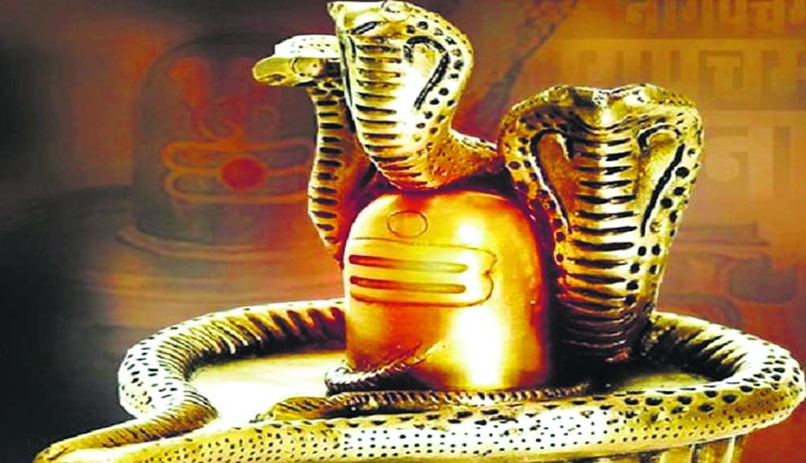 नागपंचमी 2020 : इन पौराणिक कारणों का है बड़ा महत्व