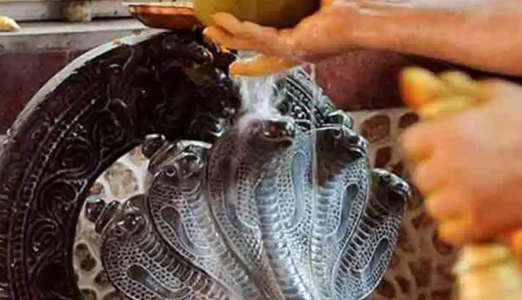 नागपंचमी 2020 : आज के दिन बचें इन गलतियों को करने से astrology tips,astrology tips in hindi,sawan,sawan special,sawan 2020,lord shiva,nag panchami 2020