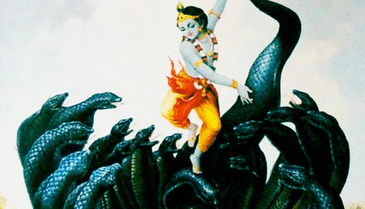 कालिया नाग पर श्री कृष्ण की विजय को मनाया जाता है नाग पंचमी के रूप में 