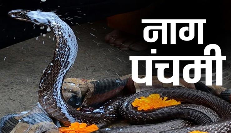 नागपंचमी 2020 : राशि अनुसार इन उपायों को कर पाए सभी कष्टों से मुक्ति